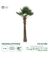 GloboStar® Artificial Garden PLANT PALM TREE 21055 Διακοσμητικό Δέντρο Φοίνικα  Φ240 x Υ400cm